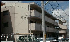 �L���s����M����2���ڂ̒��݃}���V����