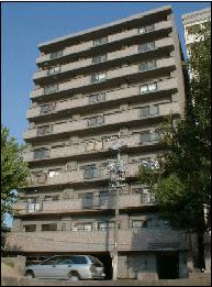 �L���s����M�������̒��݃}���V����