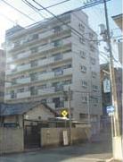 �L���s����M����1���ڂ̒��݃}���V����