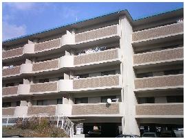 �L���s����Í]��̒��݃}���V����