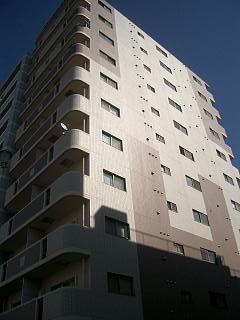 �L���s����͌����̒��݃}���V����