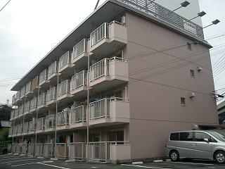 �L���s���拍�c�V��3���ڂ̒��݃}���V����