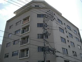 �L���s����V�����̒��݃}���V����