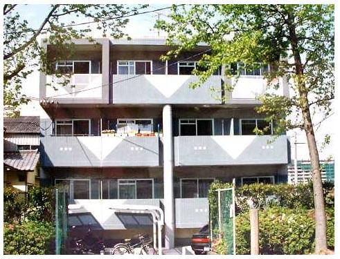 �L���s����V�����̒��݃}���V����