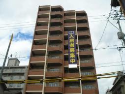 �L���s����Ȕ�{��2���ڂ̒��݃}���V����