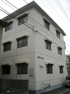 �L���s����M�ߒ�2���ڂ̒��݃}���V����