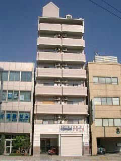 �L���s���擌�����̒��݃}���V����