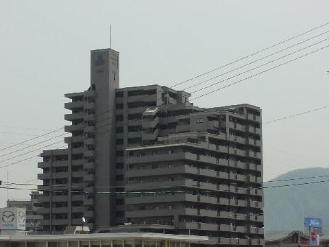 �L���s���撆�{2���ڂ̒��݃}���V����