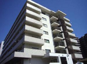 �L���s����O��1���ڂ̒��݃}���V����