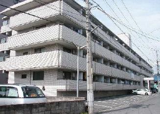 �L���s������搼��4���ڂ̒��݃}���V����