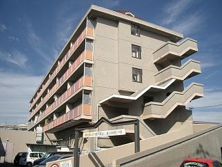 �L���s����Í]�V���̒��݃}���V����