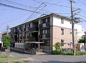 �L���s������搼��5���ڂ̒��݃}���V����