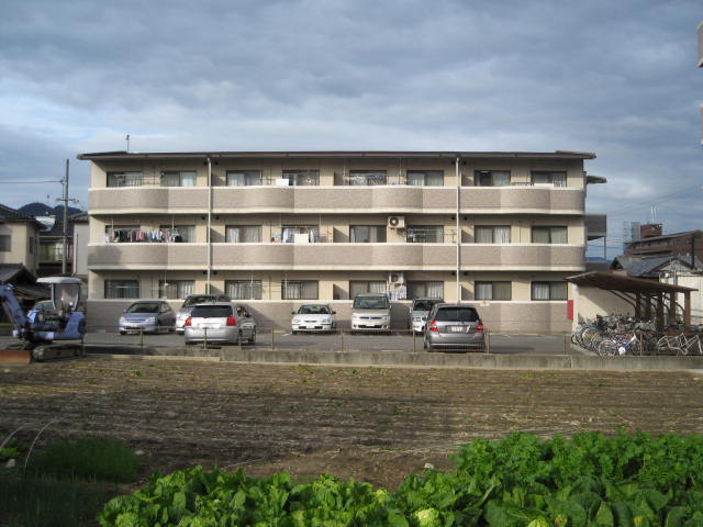 �L���s������擌��3���ڂ̒��݃}���V����