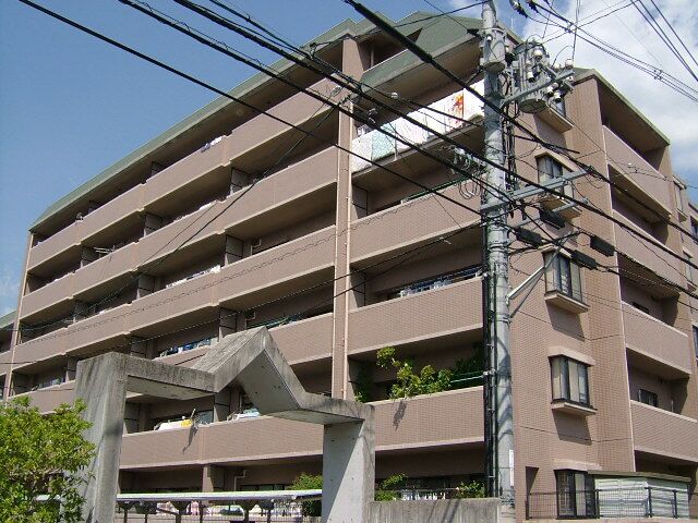 �L���s����Í]�����̒��݃}���V����