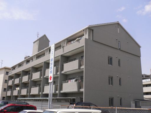 �L���s������3���ڂ̒��݃}���V����