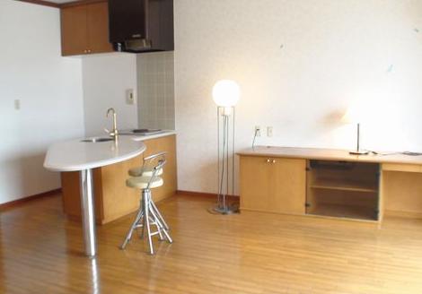 �L���s����ᑐ���̒��݃}���V����