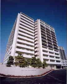 �L�������|�S�{�������2���ڂ̒��݃}���V����