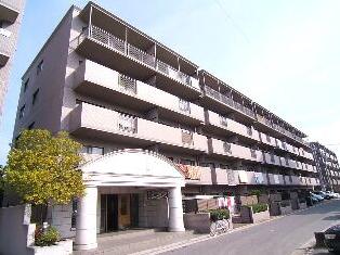 �L���s�����ω�8���ڂ̒��݃}���V����