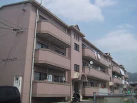 �L�������|�S�{�����{��2���ڂ̒��݃}���V����