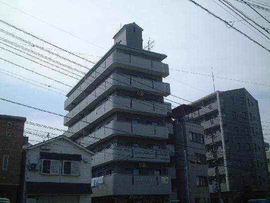 �L���s����g����1���ڂ̒��݃}���V����