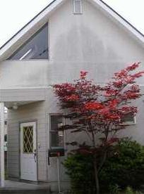 �L�������|�S�{�������R1���ڂ̒��݌ˌ���