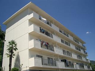 �L���s����Ȕ��2���ڂ̒��݃}���V����