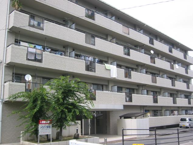 �L���s������y�X��3���ڂ̒��݃}���V����