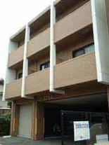 �L���s������搼��8���ڂ̒��݃}���V����