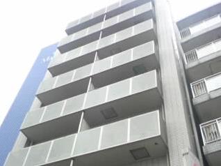 �L���s����͌����̒��݃}���V����