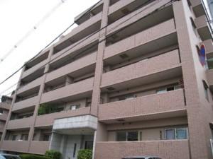 �L���s���拍�c�V��3���ڂ̒��݃}���V����