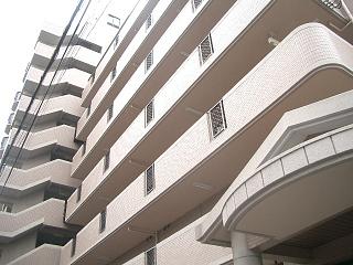 �L���s���擌�ω����̒��݃}���V����