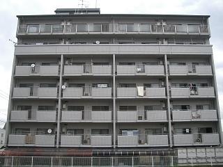 �L���s����ω�7���ڂ̒��݃}���V����