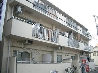 �L���s������1���ڂ̒��݃}���V����