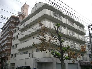 �L���s����L���k���̒��݃}���V����