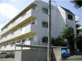 �L���s����Í]�����̒��݃}���V����