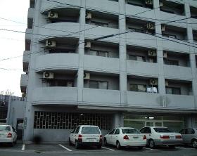 �L���s����Ȕ�{��1���ڂ̒��݃}���V����