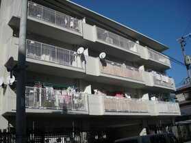 �L���s����Í]�V���̒��݃}���V����