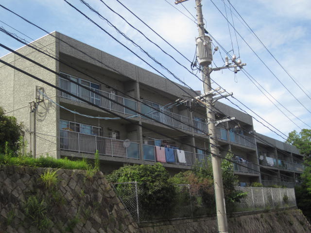 �L���s����Í]�����̒��݃}���V����