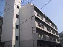 �L�������|�S�{���������u�̒��݃}���V����