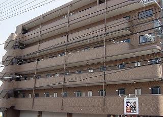 �L���s���拍�c�V��3���ڂ̒��݃}���V����