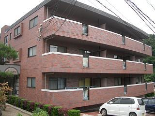 �L���s����Ȕ��2���ڂ̒��݃}���V����