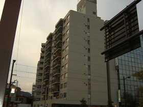 �L���s����L���k���̒��݃}���V����