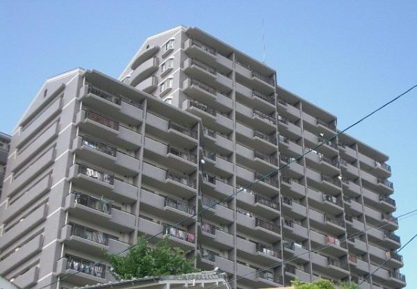 �L���s���擌�R���̒��݃}���V����