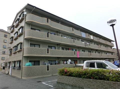 �L���s���������6���ڂ̒��݃}���V����