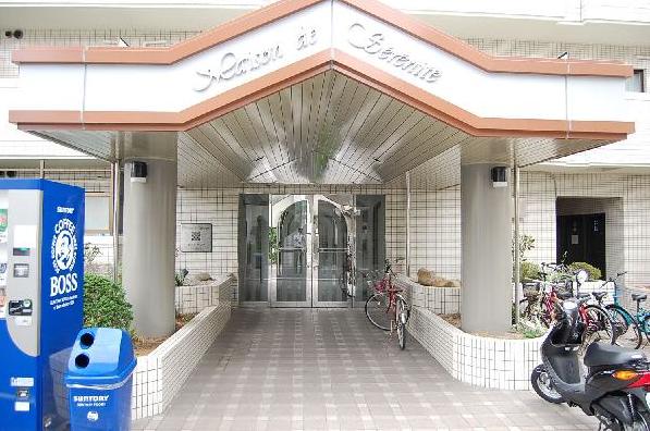 �L���s�������2���ڂ̒��݃}���V����