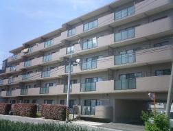 �L���s������撆��2���ڂ̒��݃}���V����