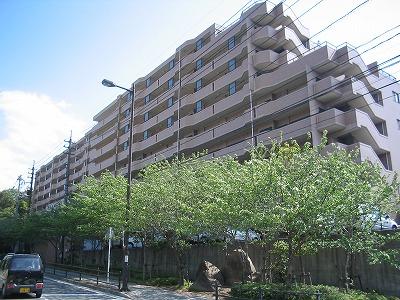 �L�������|�S�{�������R2���ڂ̒��݃}���V����