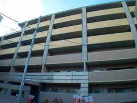 �L���s����Ȕ㐼���̒��݃}���V����