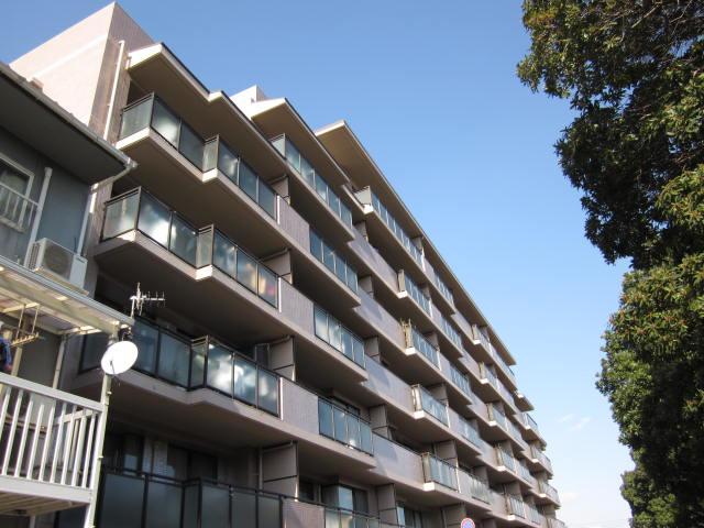 �L���s���摐�Ó�1���ڂ̒��݃}���V����