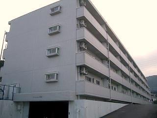 �L���s����Í]�����̒��݃}���V����